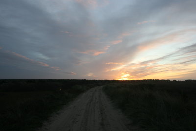 November 2007