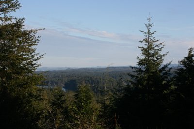 January 2008 009.jpg