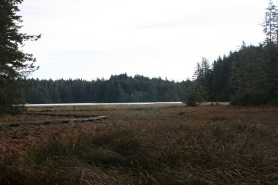 January 2008 022.jpg