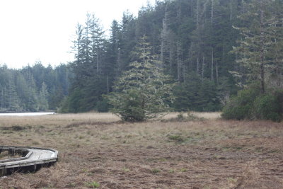 January 2008 032.jpg