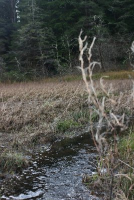 January 2008 035.jpg