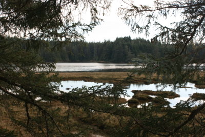 January 2008 041.jpg