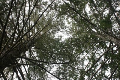 January 2008 050.jpg