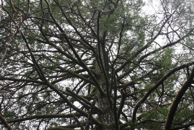 Hiking the South Slough Sanctuary