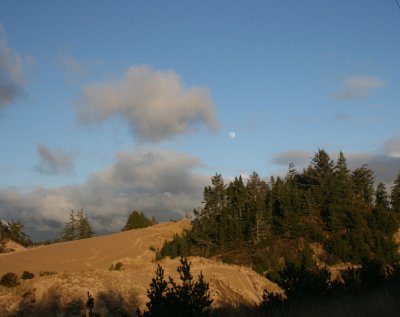 January 2008 136.jpg