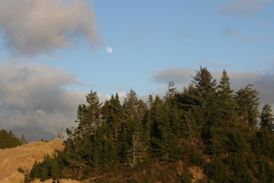 January 2008 137.jpg