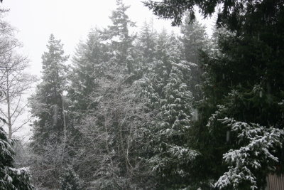 January 2008 008.jpg