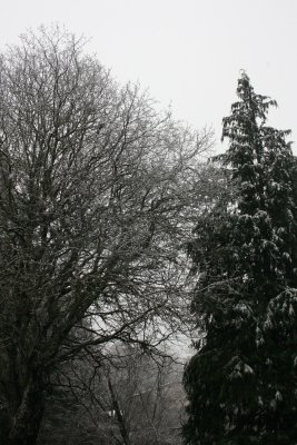 January 2008 010.jpg
