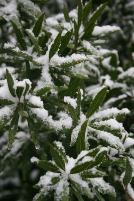January 2008 012.jpg