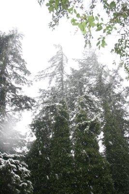January 2008 034.jpg