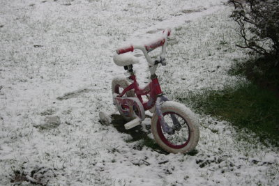 Snowing ? Here?