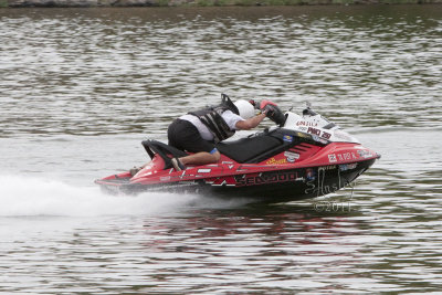 Monkey see Monkey Do PWC1 #297