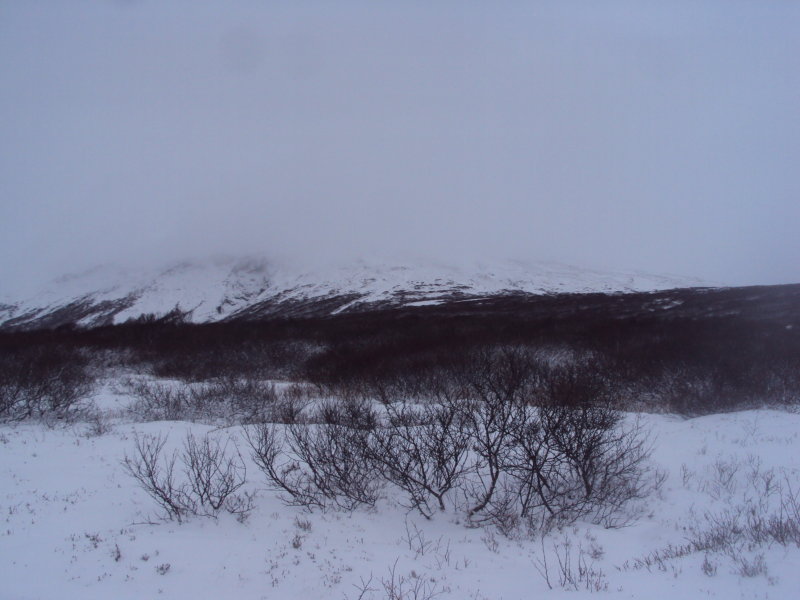 DSC07741.JPG