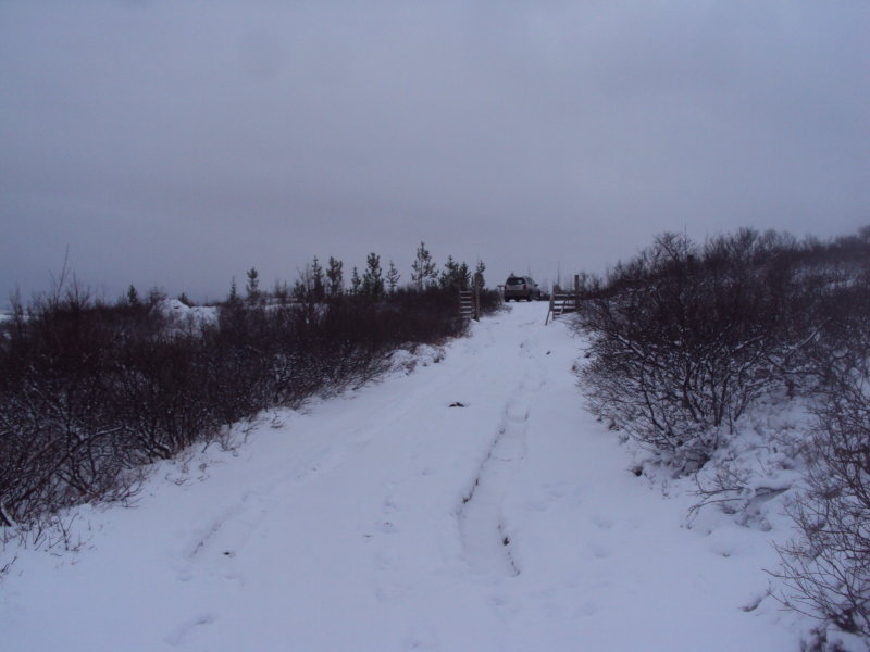 DSC07743.JPG