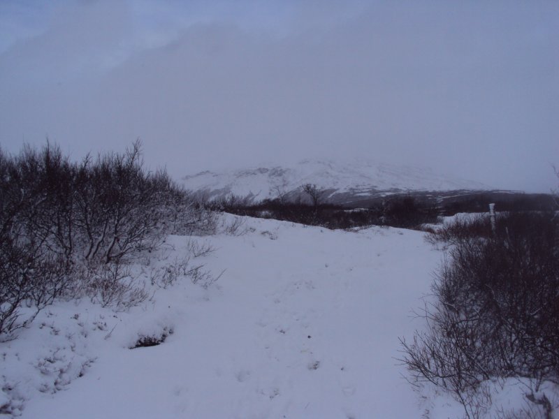 DSC07744.JPG
