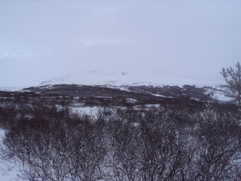 DSC07750.JPG