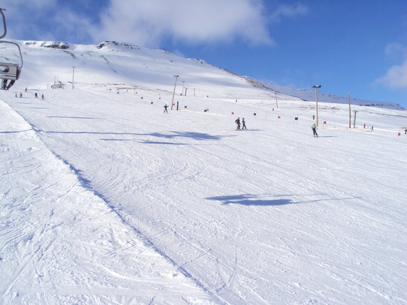 DSC08011.JPG