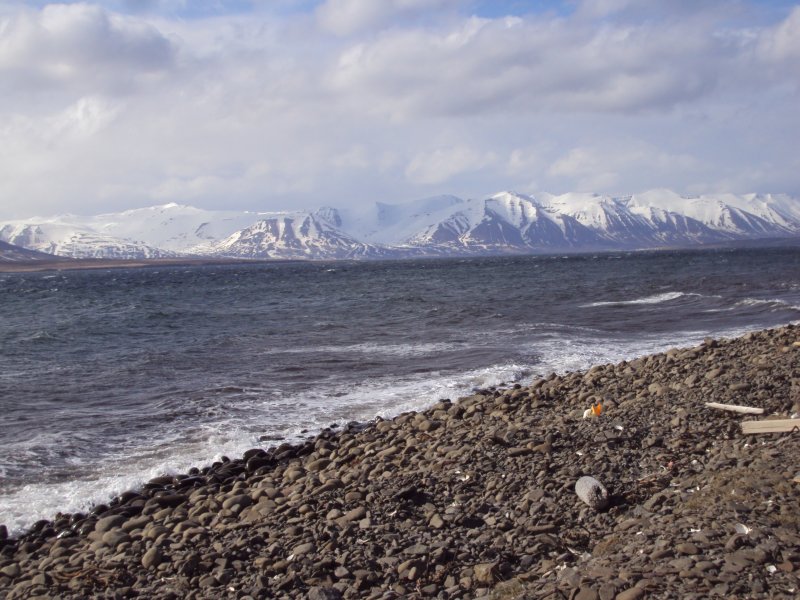 DSC08223.JPG