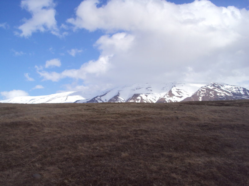 DSC08231.JPG