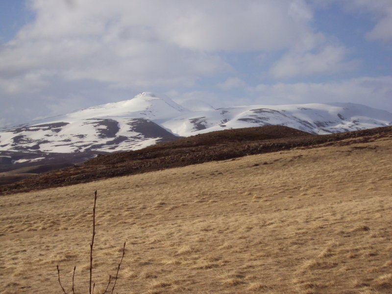 DSC08251.JPG