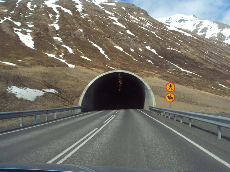 DSC08280.JPG