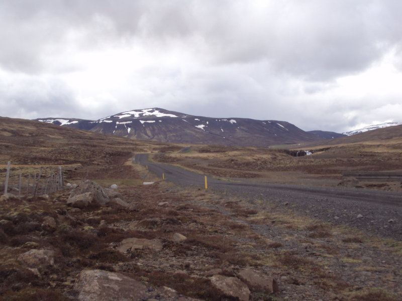 DSC08547.JPG