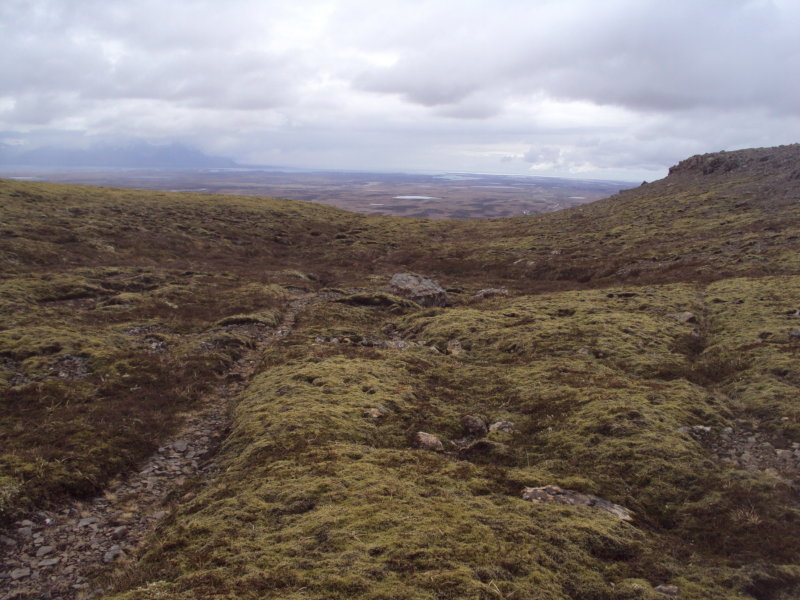 DSC08567.JPG
