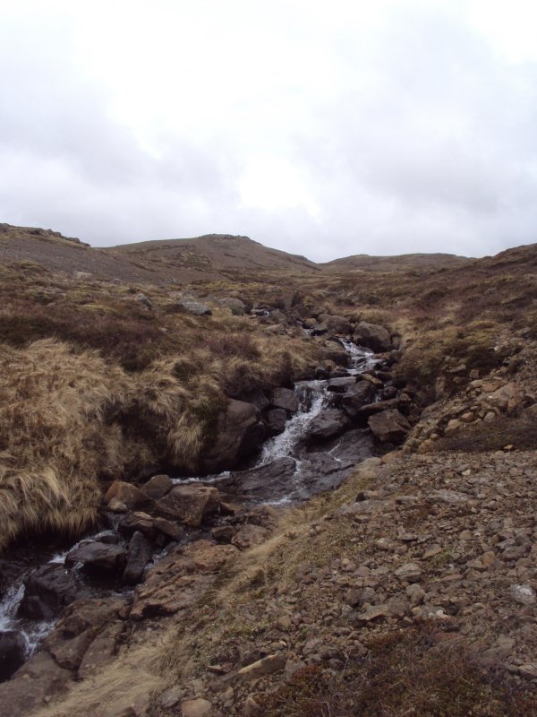 DSC08568.JPG