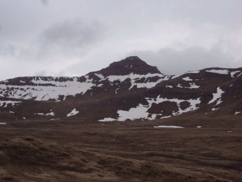 DSC08788.JPG