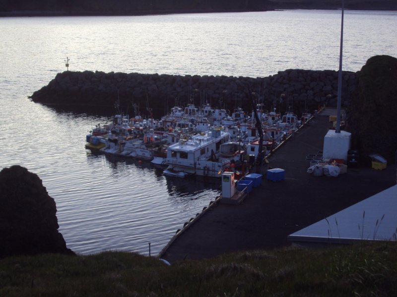 DSC08840.JPG