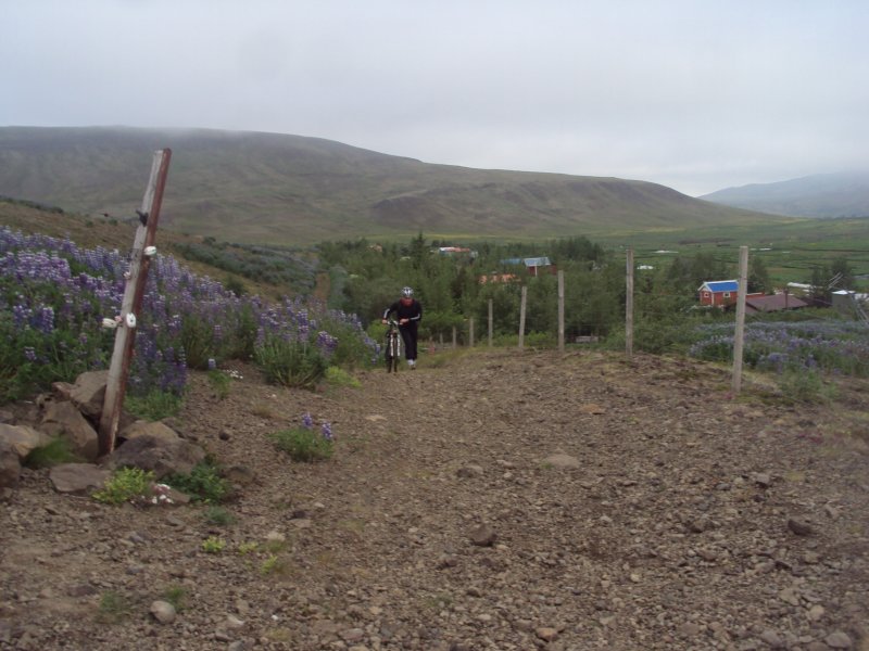 DSC09234.JPG