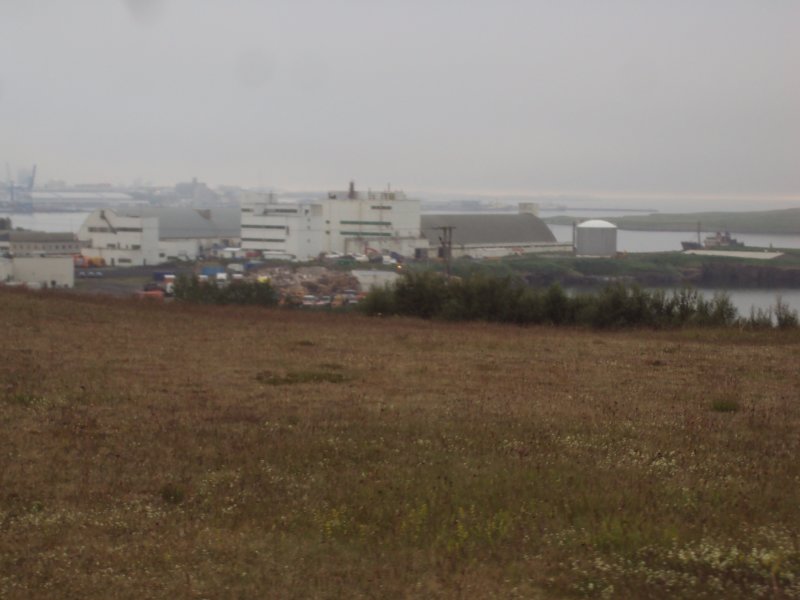 DSC09252.JPG