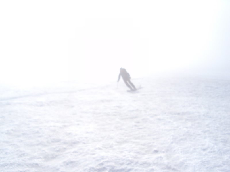 DSC09376.JPG