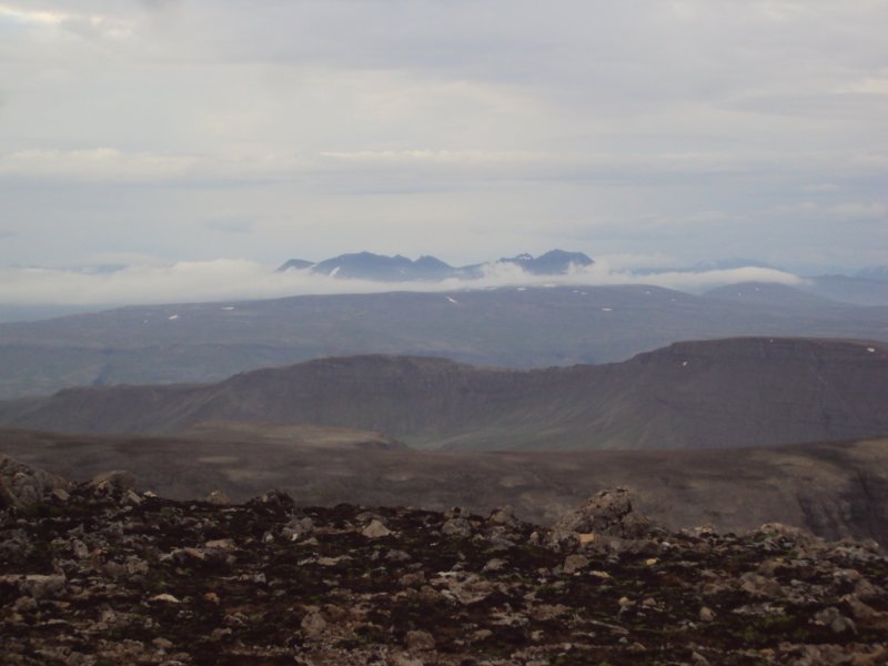 DSC09462.JPG