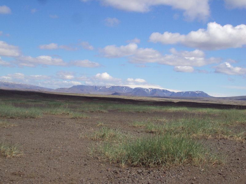 DSC09489.JPG