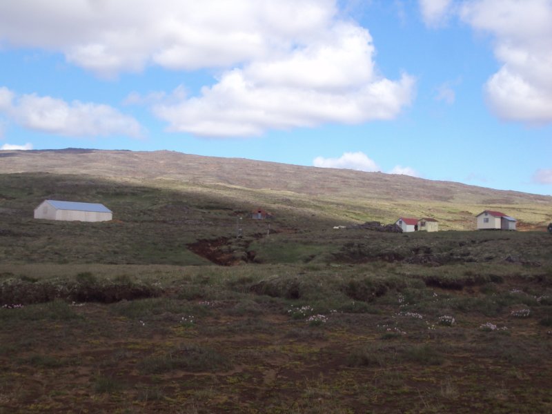 DSC09494.JPG