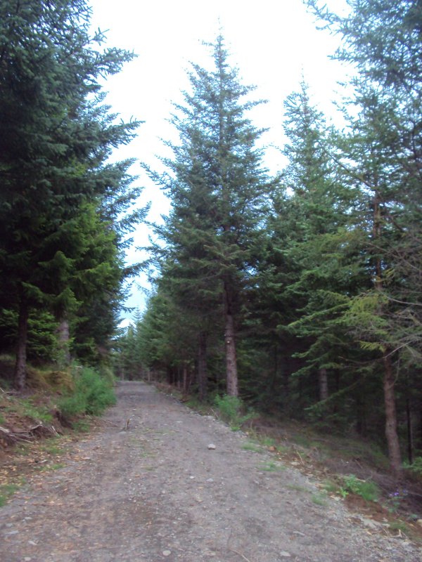 DSC09732.JPG