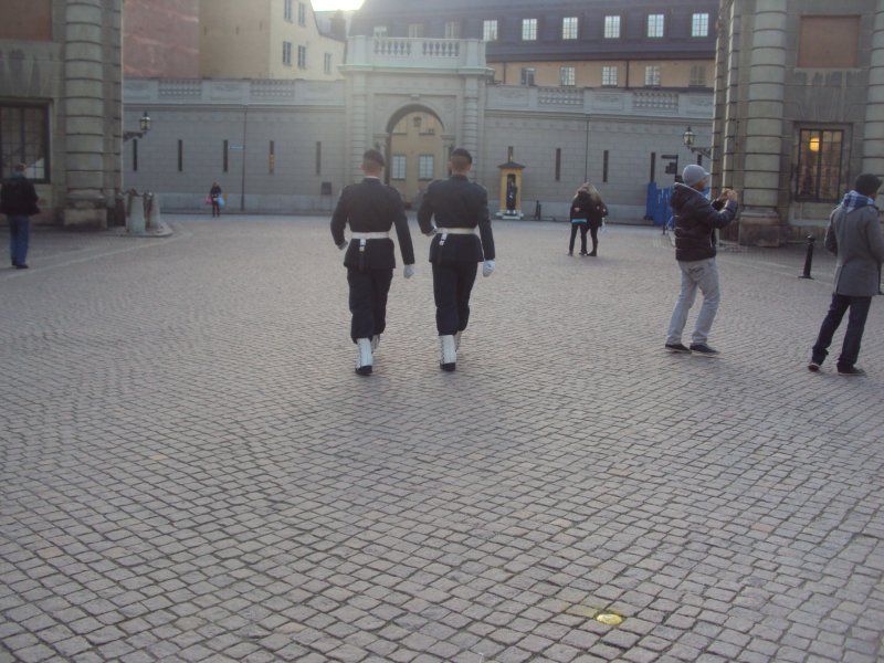 DSC00716.JPG