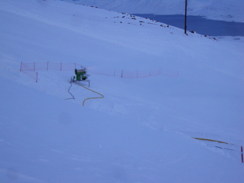 DSC01039.JPG