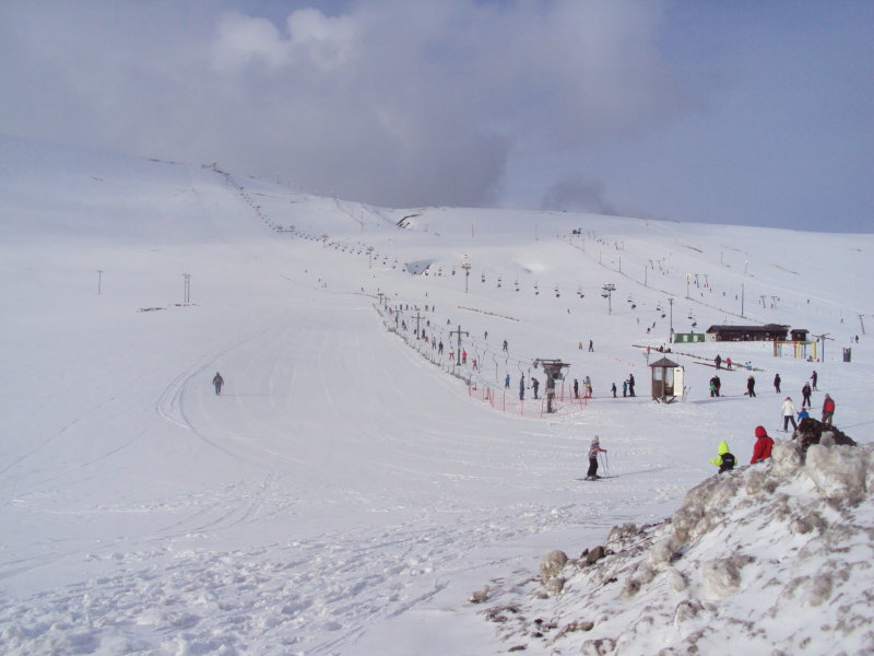 DSC01230.JPG