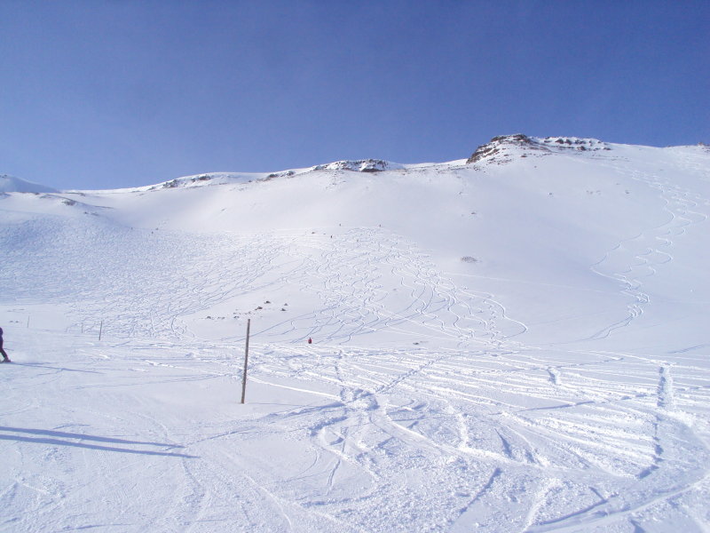 DSC01368.JPG