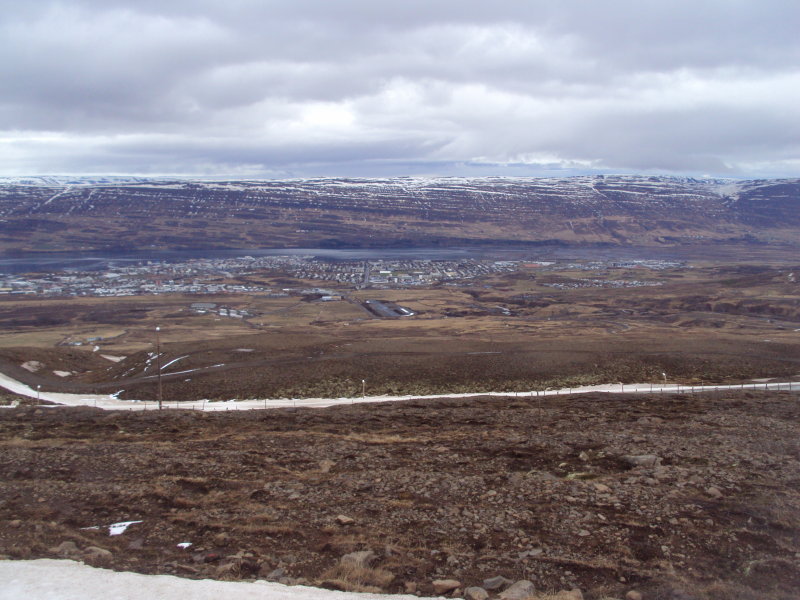 DSC01452.JPG