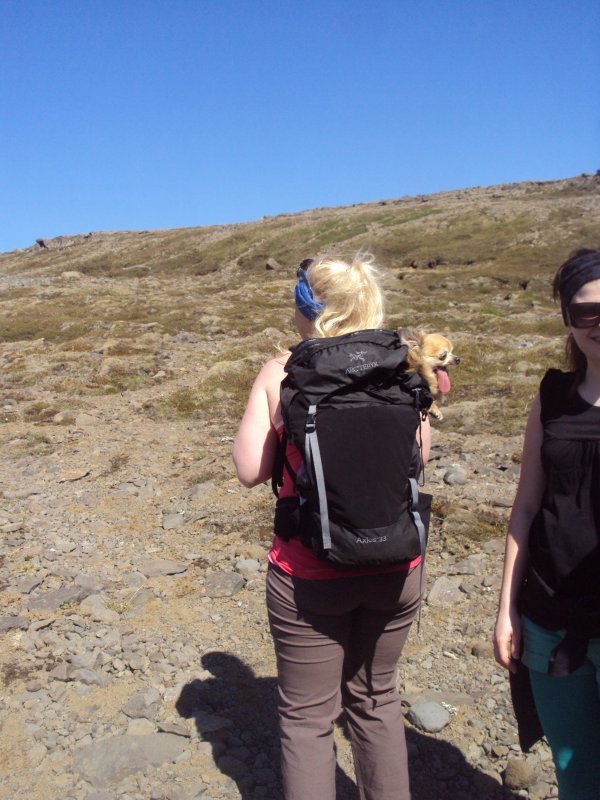 DSC02015.JPG