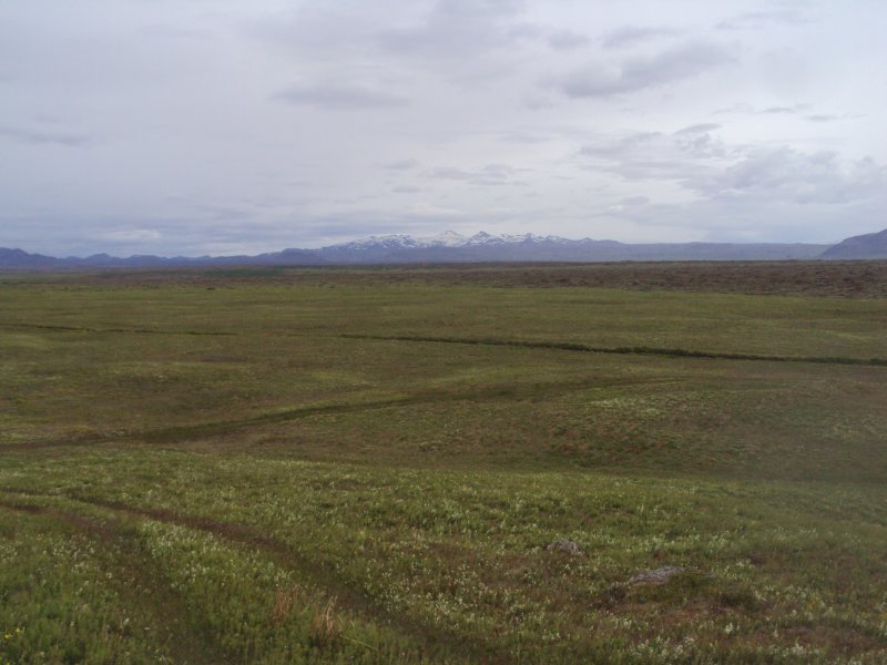 DSC02516.JPG