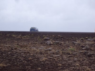 DSC08590.JPG