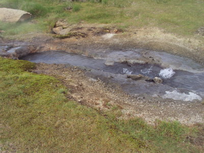 DSC09772.JPG