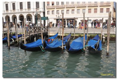 Venise en amoureux 95.jpg