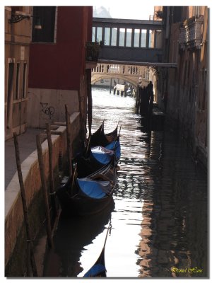 Venise en amoureux 157.jpg