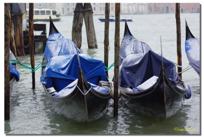 Venise en amoureux 316.jpg