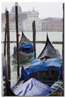 Venise en amoureux 323.jpg